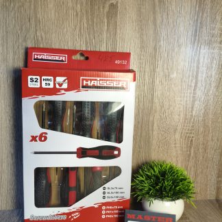 Набір викруток HAISSER 6 штук 
Сталь S2